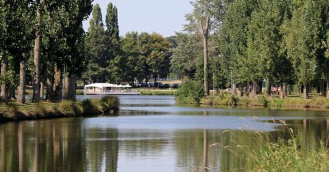 Grand étang entouré de chemins de balade ombragés