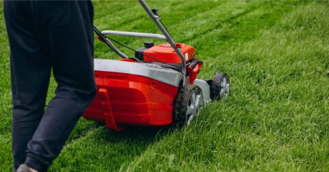 homme avec tondeuse rouge dans un jardin