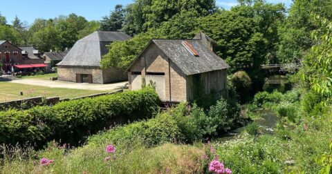 Vieux bâtiments industriels au bord d'une rivière avec végétation dense et fleurs roses