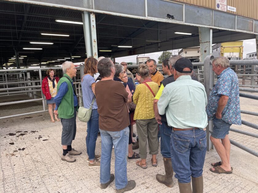 groupe de visiteurs devant un bâtiment du Foirail de Châteaubriant