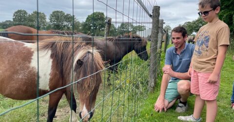 Un père et son fils regardant des poneys dans un pré