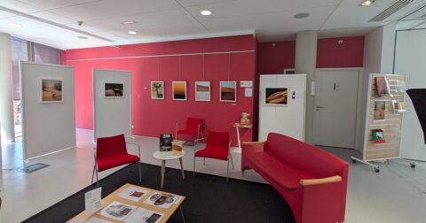 salle de médiathèque avec exposition de photos accrochées aux murs
