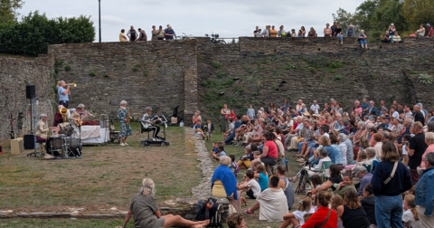 spectateurs en extérieur devant un concert